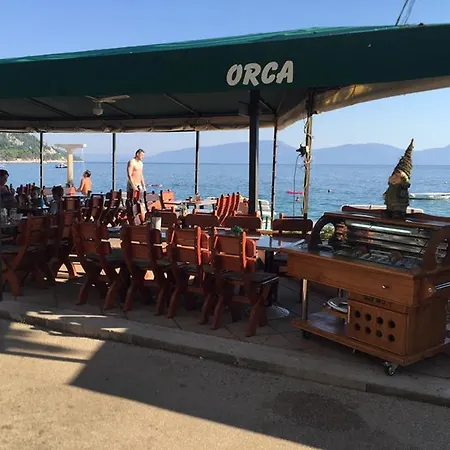 Orca